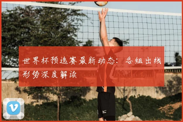 世界杯预选赛最新动态：各组出线形势深度解读