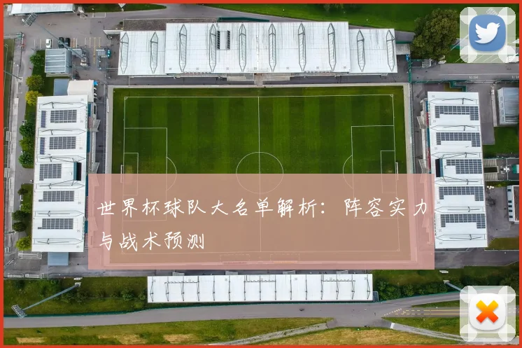 世界杯球队大名单解析:阵容实力与战术预测