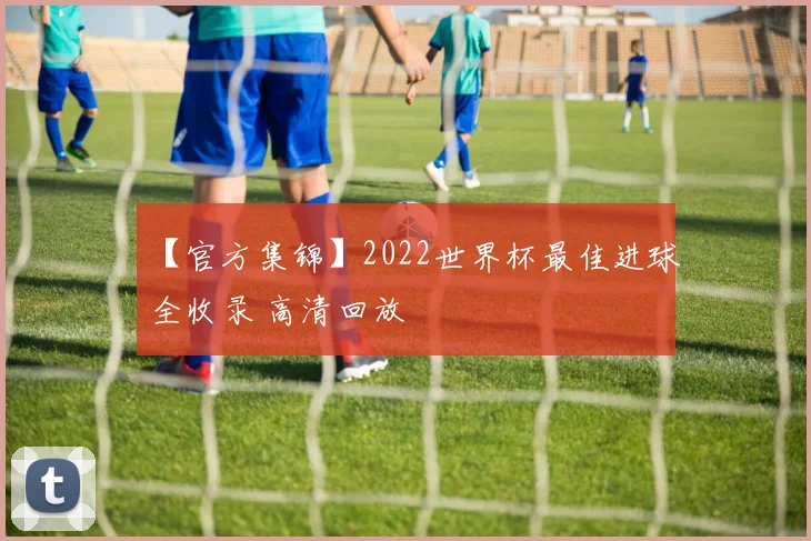 【官方集锦】2022世界杯最佳进球全收录 高清回放